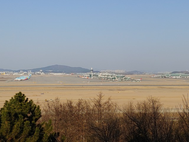 20190402_171628.jpg