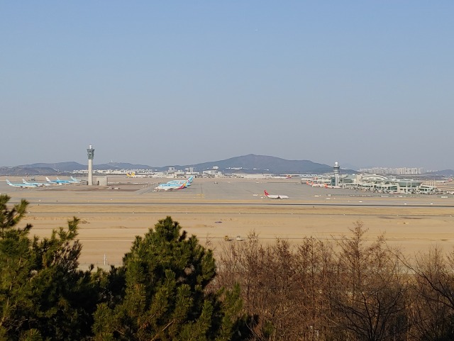 20190402_171713.jpg