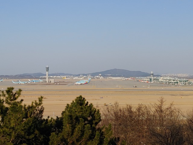 20190402_171726.jpg