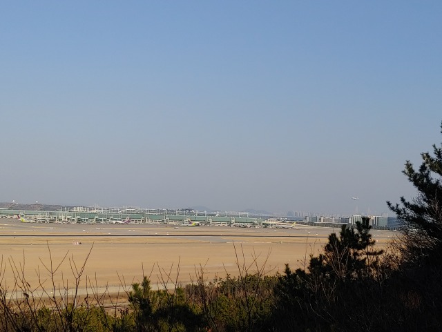 20190402_171722.jpg