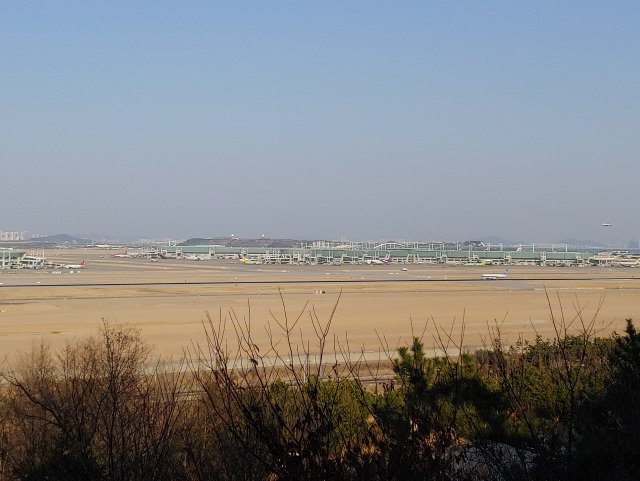20190402_171734.jpg