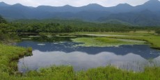 20160730_145327.jpg